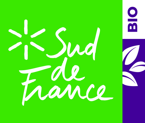 logo SDF